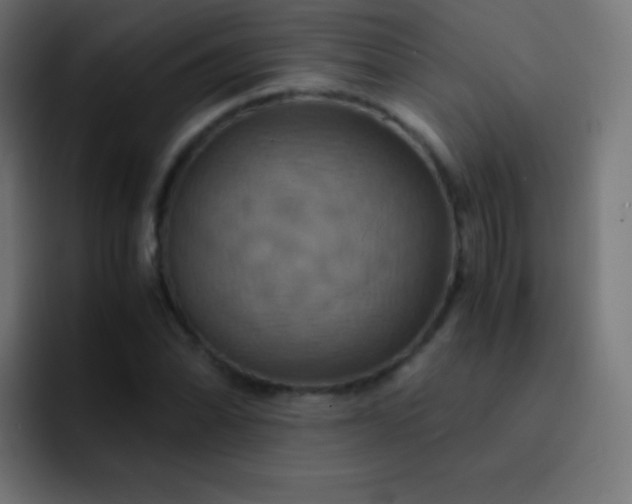 X0000093241070200710101418