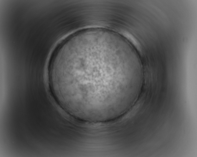 X0000093241072200710101417
