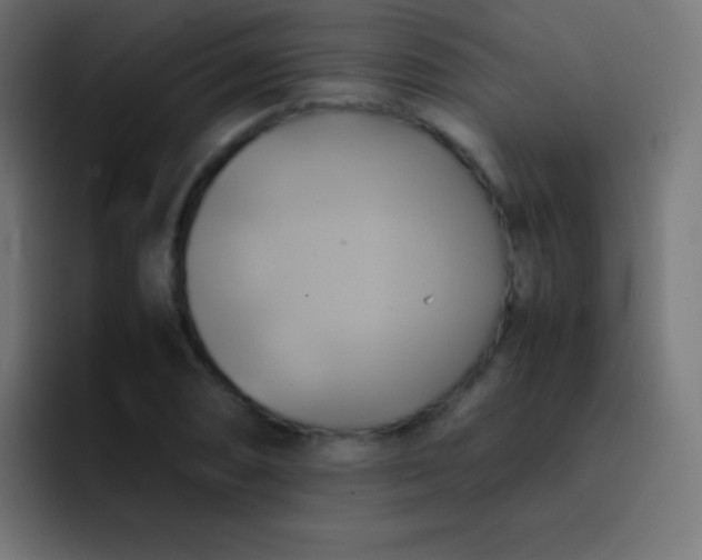 X0000093241074200710101417