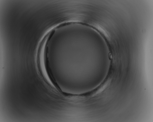 X0000093241077200710101417