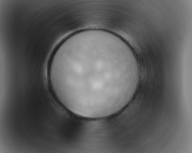 X0000093241078200710101417