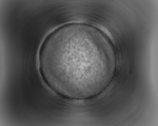 X0000093241080200710101417