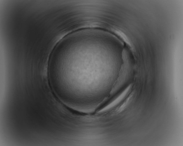X0000093241081200710101417