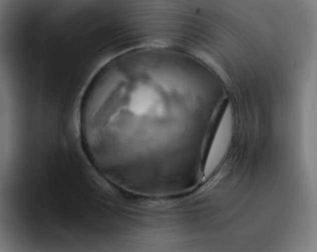 X0000093241083200710101417