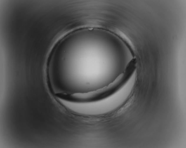 X0000093241085200710101417