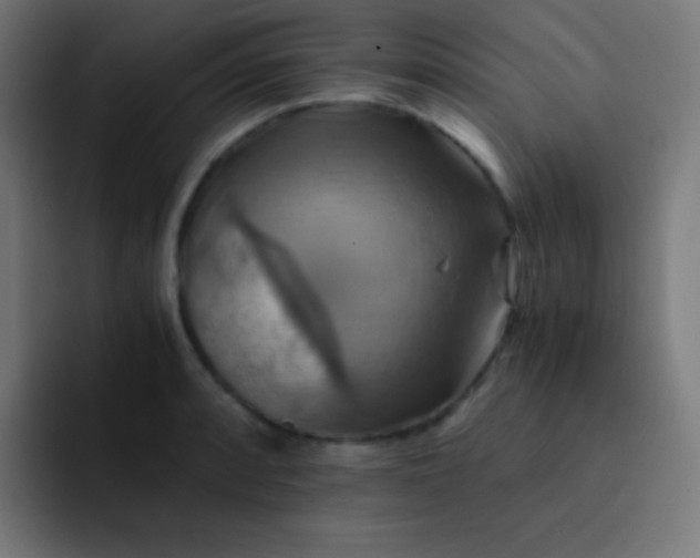 X0000093241088200710101417