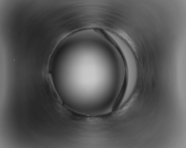 X0000093241089200710101417