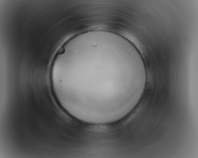 X0000093241090200710101417