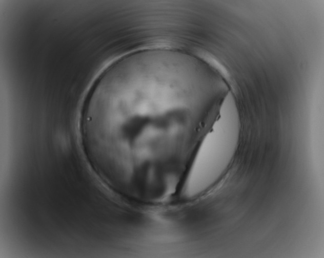 X0000093241091200710101417
