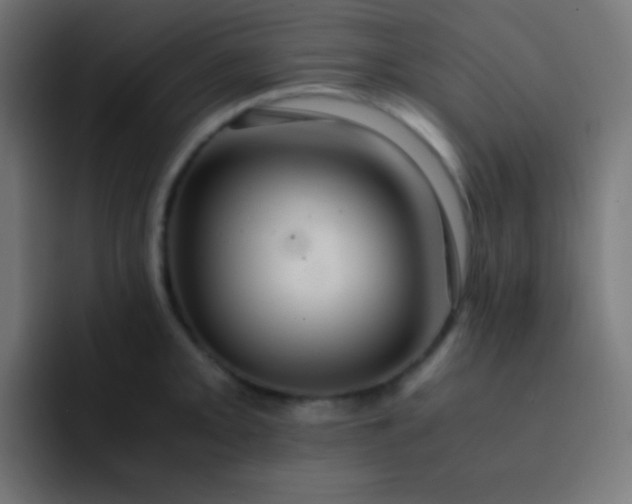 X0000093241093200710101417