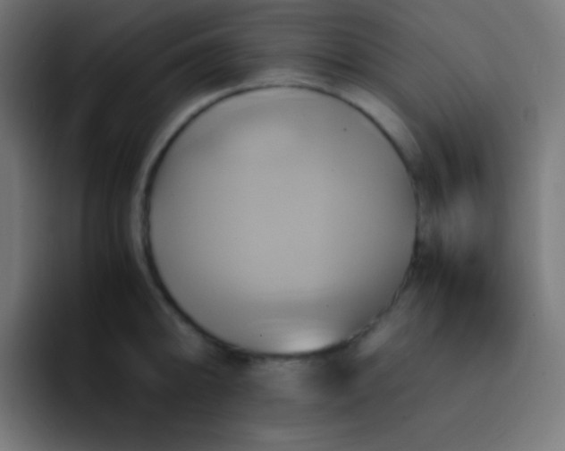 X0000093241094200710101417