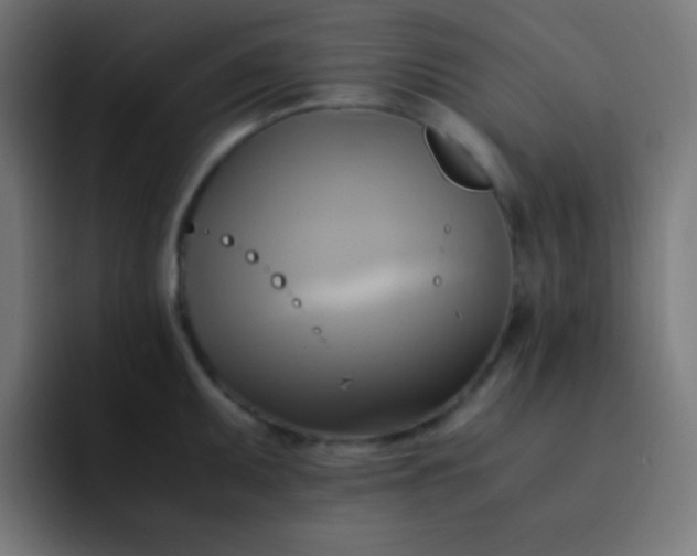 X0000093241095200710101417