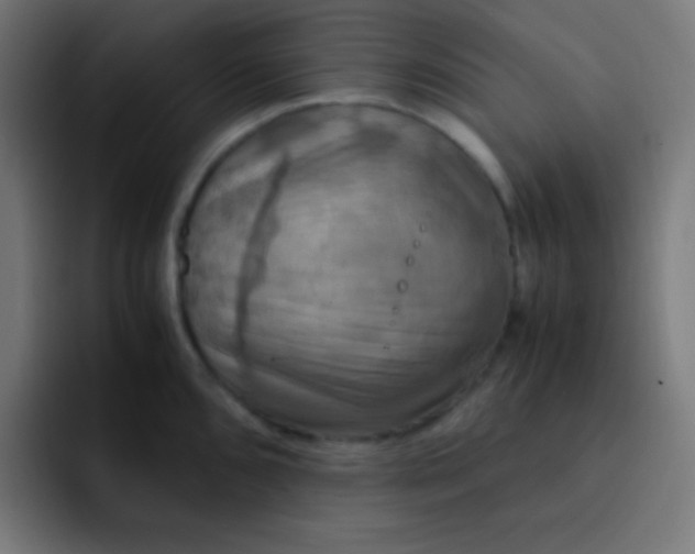 X0000093241096200710101417