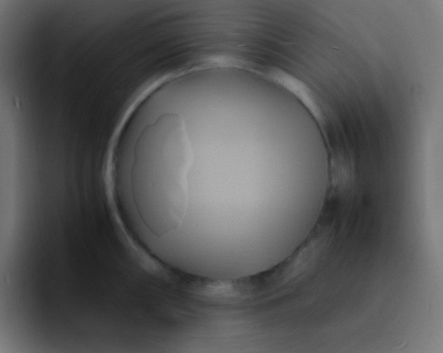 X0000093241098200710101417
