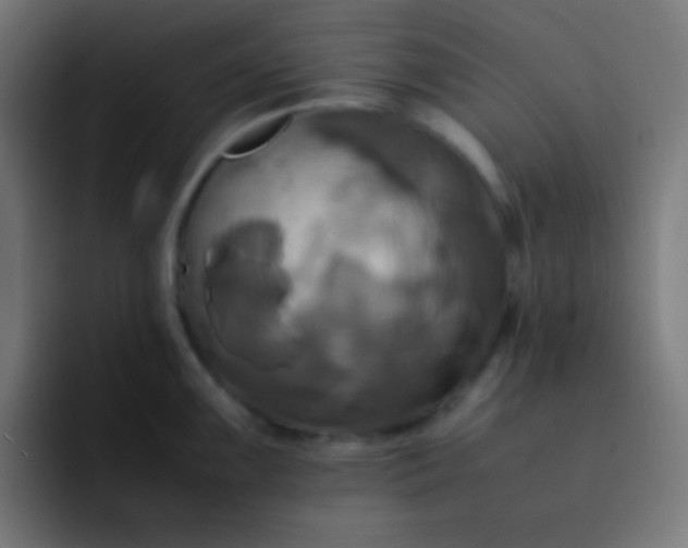 X0000093241099200710101417