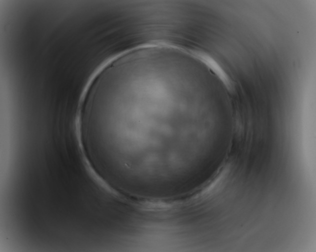 X0000093241100200710101417