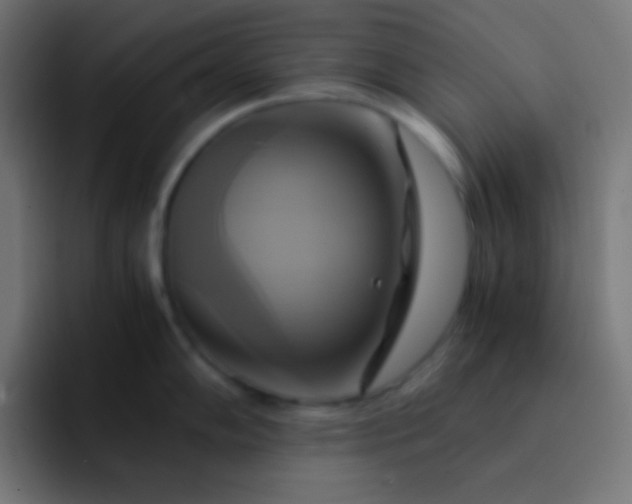 X0000093241102200710101417