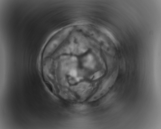 X0000093241103200710101417