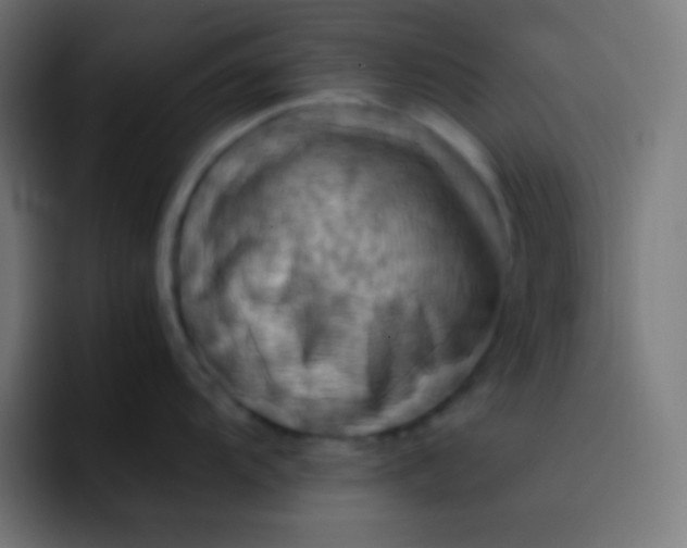 X0000093241104200710101417