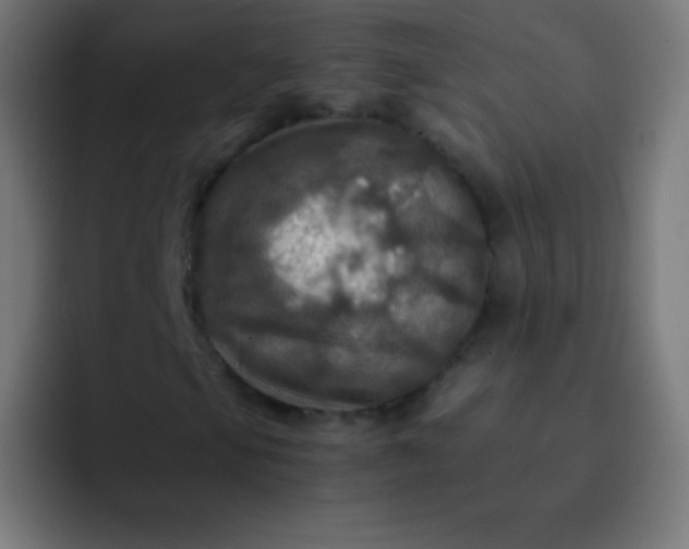 X0000093241105200710101417