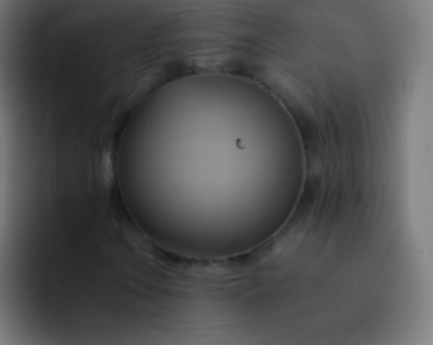 X0000093241106200710101417