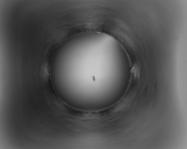 X0000093241107200710101417