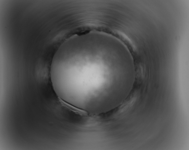 X0000093241110200710101417