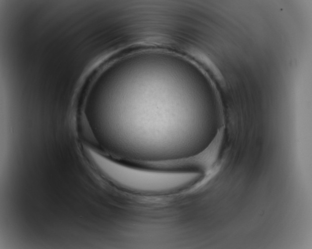 X0000093241114200710101417
