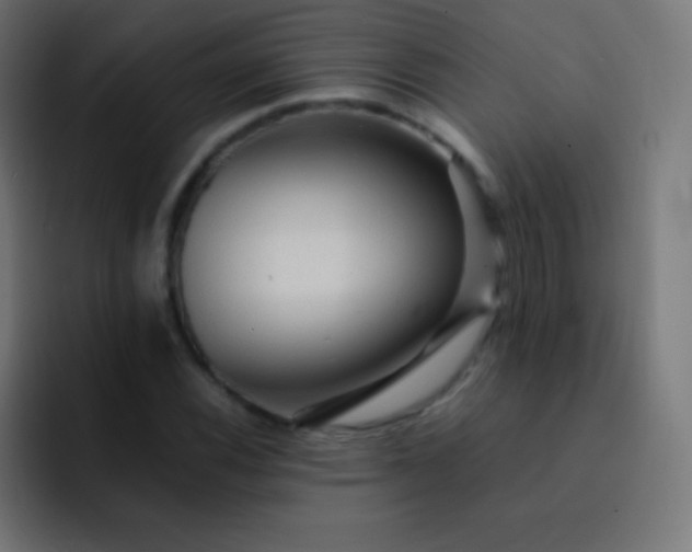 X0000093241116200710101417