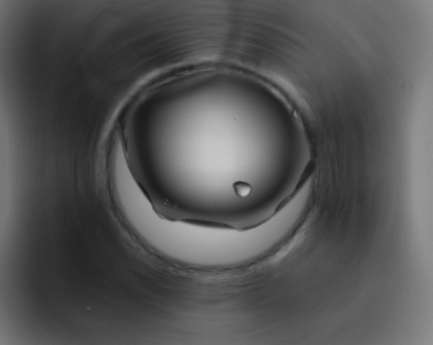 X0000093241118200710101417