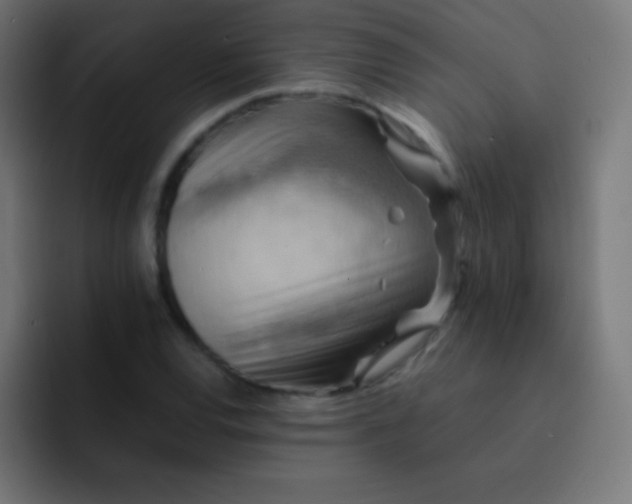 X0000093241120200710101417