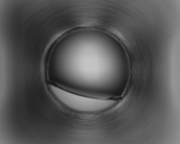 X0000093241122200710101417