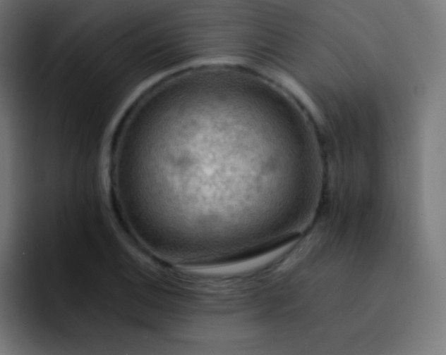 X0000093241124200710101417