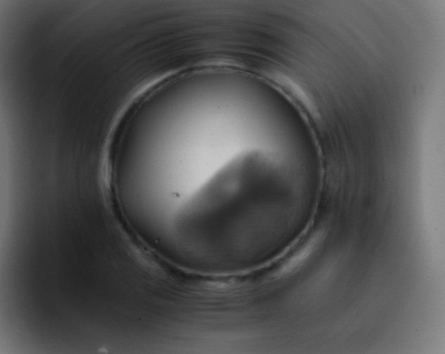 X0000093241125200710101417
