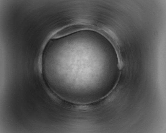 X0000093241128200710101417