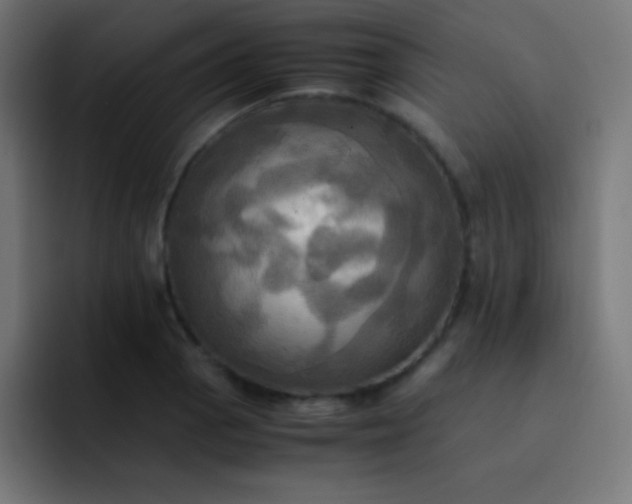 X0000093241129200710101417
