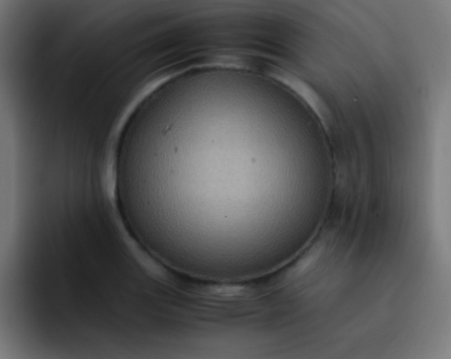 X0000093241131200710101417