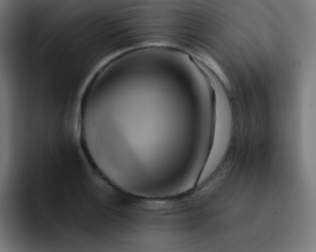 X0000093241132200710101417