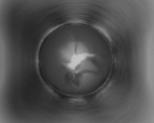 X0000093241133200710101417