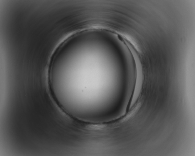 X0000093241134200710101417