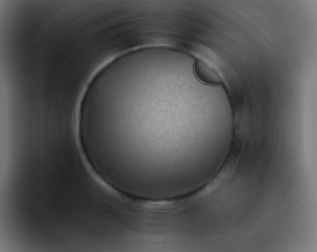X0000093241135200710101417