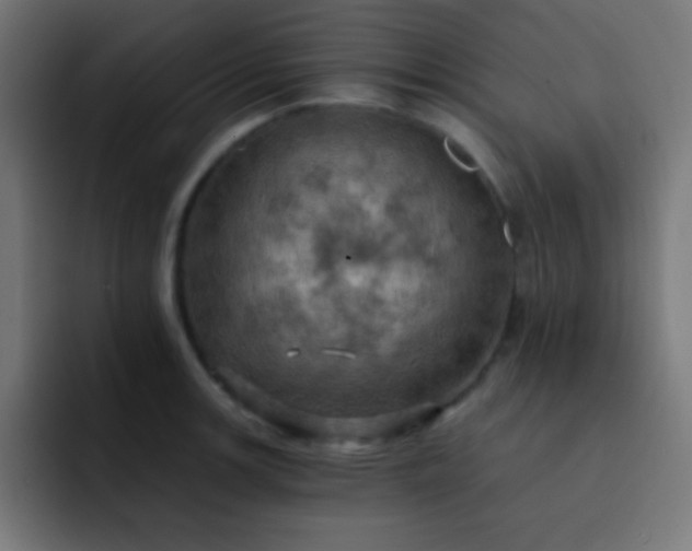 X0000093241139200710101417