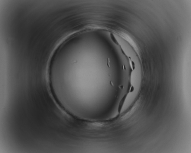 X0000093241141200710101417