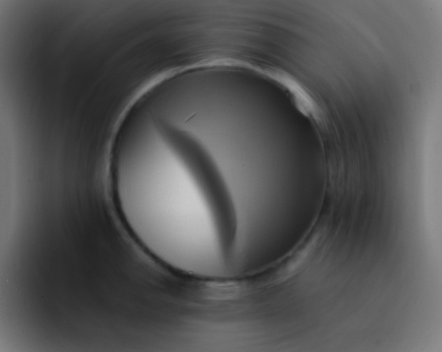 X0000093241142200710101417