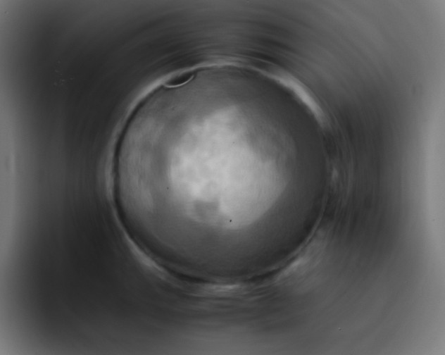 X0000093241143200710101417