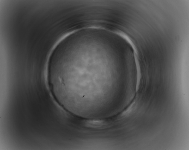 X0000093241147200710101417
