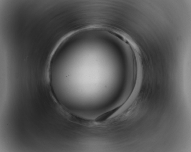 X0000093241148200710101417
