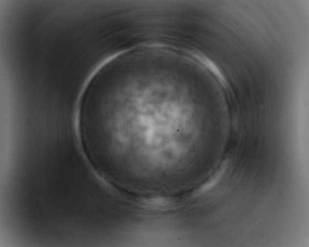 X0000093241149200710101417