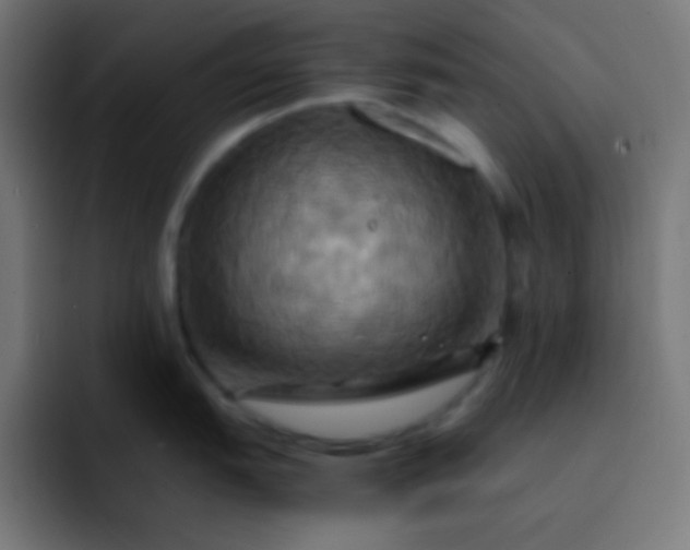 X0000093241151200710101417