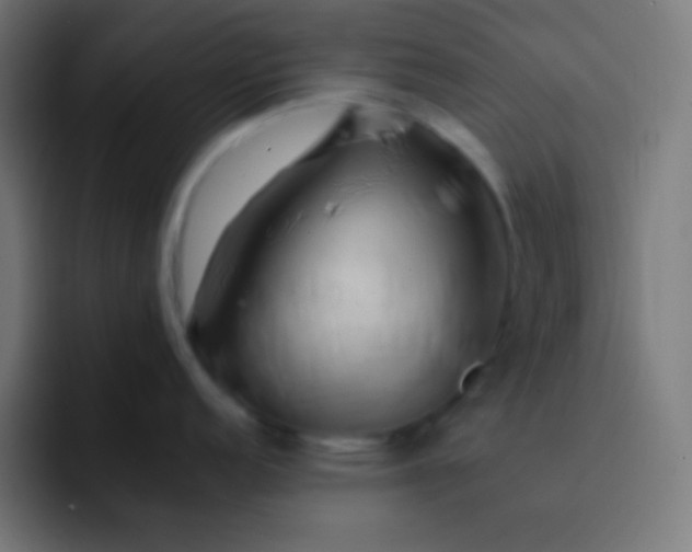 X0000093241152200710101417